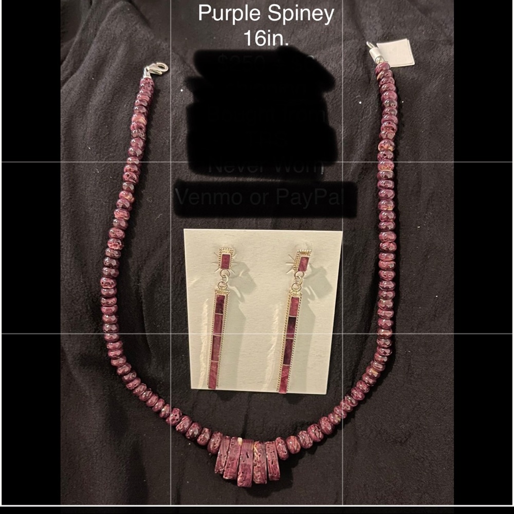 Brand new necklace and earring set.